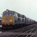 25.03.94 Leszno SP45-205 (14389697063)